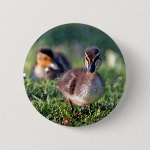 Badge Rond 5 Cm Canard