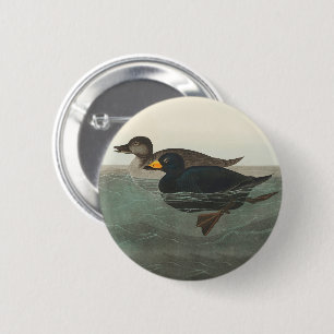 Badge Rond 5 Cm Canard router américain Audubon