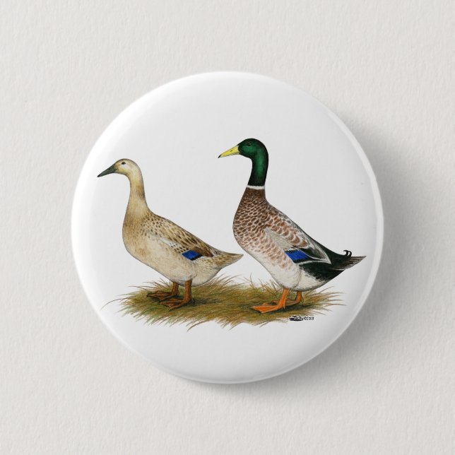 Badge Rond 5 Cm Canards :  Harlequin argenté de Gallois (Devant)