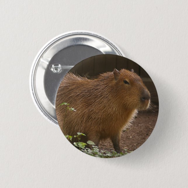 Badge Rond 5 Cm Capybara (Devant & derrière)