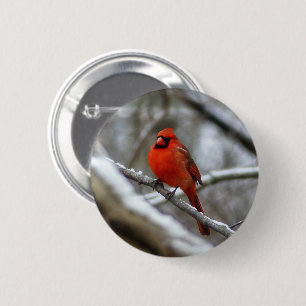 Badge Rond 5 Cm Cardinal masculin