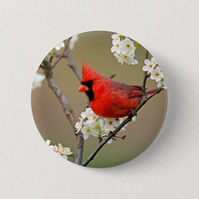 Badge Rond 5 Cm Cardinal rouge (Devant)