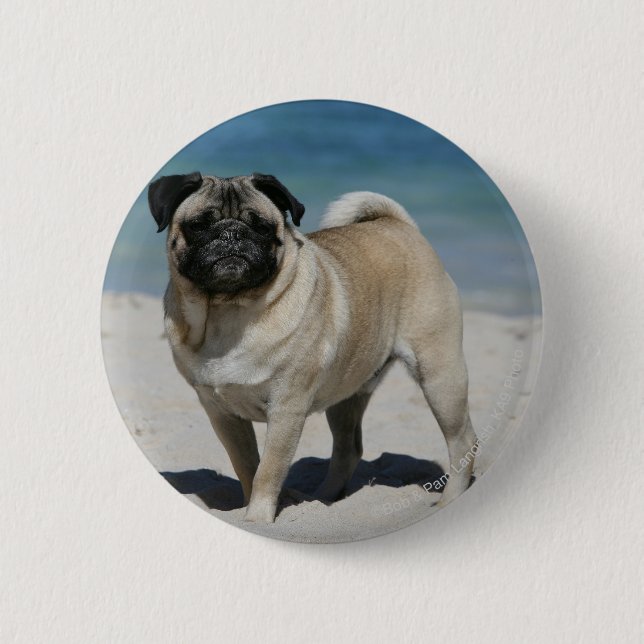 Badge Rond 5 Cm Carlin de faon à la plage (Devant)