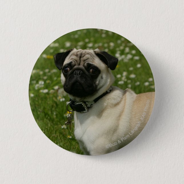 Badge Rond 5 Cm Carlin jouant en fleurs (Devant)