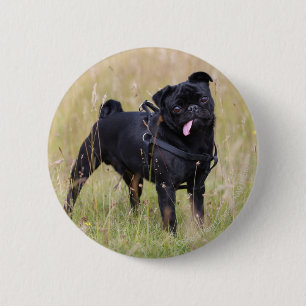 Badge Rond 5 Cm Carlin noir collant Tounge