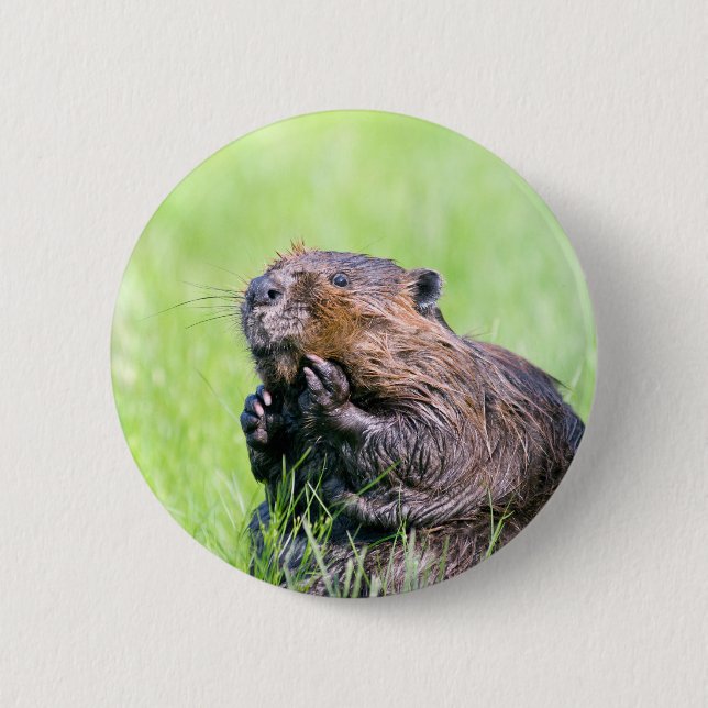 Badge Rond 5 Cm Castor humide (Devant)