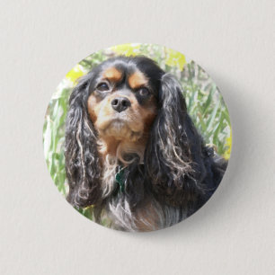 Badge Rond 5 Cm Cavalier King Charles Spaniel peint
