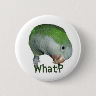 Badge Rond 5 Cm Ce qui ?