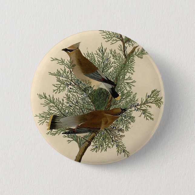 Badge Rond 5 Cm Cèdre Audubon (Devant)