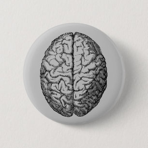 Badge Rond 5 Cm Cerveau