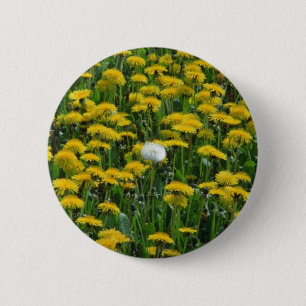 Badge Rond 5 Cm Champ jaune des pissenlits dans l'écoulement