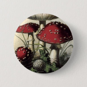 Badge Rond 5 Cm Champignon de Muscarius d'agaricus