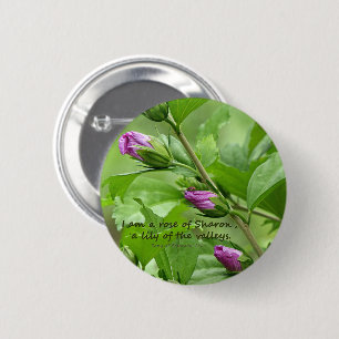 Badge Rond 5 Cm Chanson de Salomon 2:1