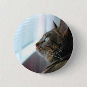 Badge Rond 5 Cm Chaque Kitty contemple dehors