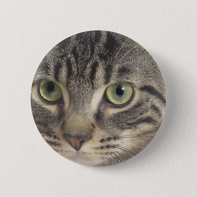 Badge Rond 5 Cm Chat à oeil vert (Devant)