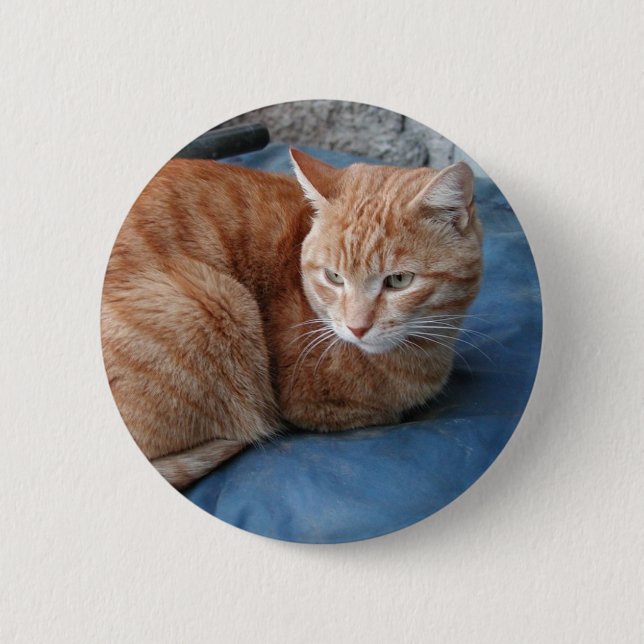 Badge Rond 5 Cm Chat beige (Devant)