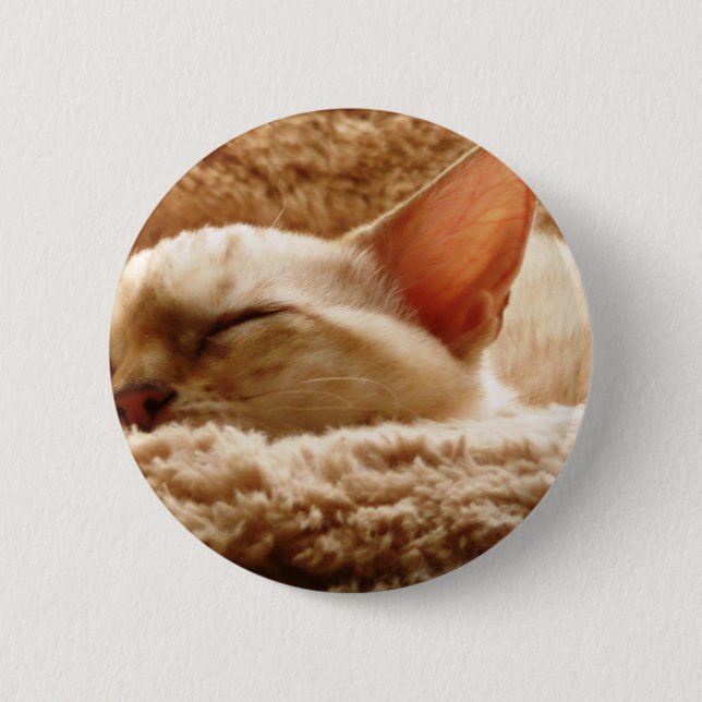 Badge Rond 5 Cm Chat couché (Devant)