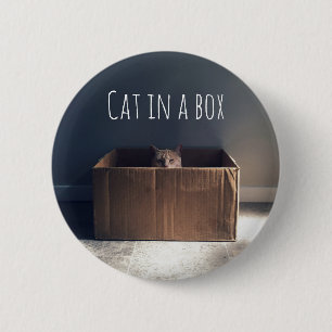 Badge Rond 5 Cm Chat dans une boîte. Le maître du chat Zen.