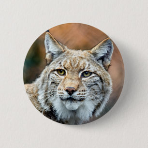 Badge Rond 5 Cm Chat de prédateur de faune de chat sauvage de Lynx