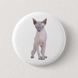 Badge Rond 5 Cm Chat de Sphynx