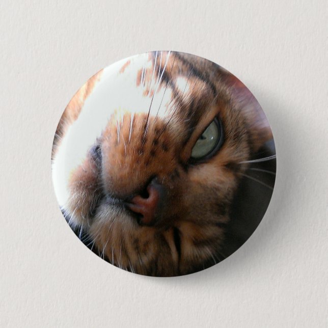 Badge Rond 5 Cm Chat du Bengale fou (Devant)