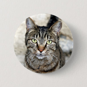 Badge Rond 5 Cm Chat égyptien