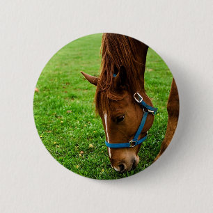Badge Rond 5 Cm Châtaignier à pâte