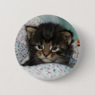 Badge Rond 5 Cm Chaton