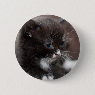 Badge Rond 5 Cm Chaton