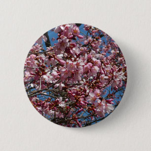 Badge Rond 5 Cm Cherry Blossoms et Blue Sky Spring Floral