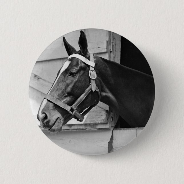 Badge Rond 5 Cm Cheval (Devant)