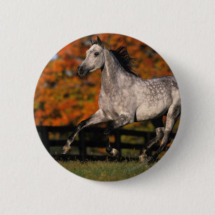 Badge Rond 5 Cm Cheval arabe : Automne 1