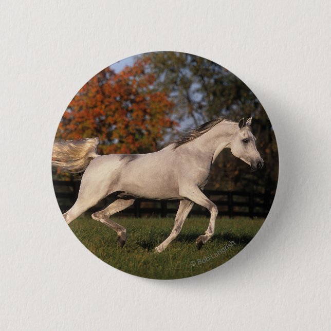 Badge Rond 5 Cm Cheval arabe : Automne 2 (Devant)