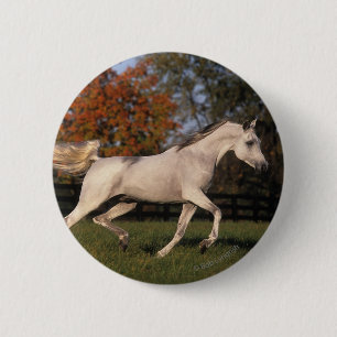 Badge Rond 5 Cm Cheval arabe : Automne 2