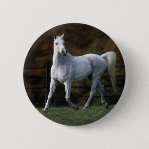 Badge Rond 5 Cm Cheval arabe courant 1