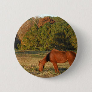 Badge Rond 5 Cm Cheval Brown aux pins