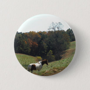 Badge Rond 5 Cm Cheval Brown et blanc à l'étang d'automne