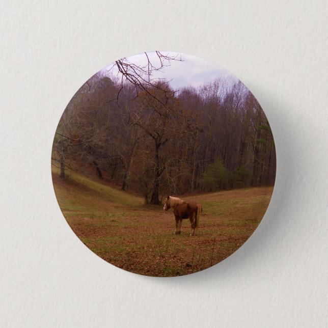 Badge Rond 5 Cm Cheval Brown et blond dans un champ (Devant)