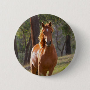 Badge Rond 5 Cm Cheval dans les bois