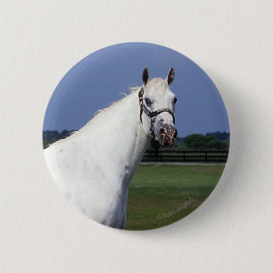 Badge Rond 5 Cm Cheval d'Appaloosa
