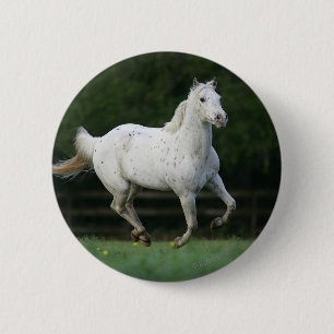 Badge Rond 5 Cm Cheval d'Appaloosa courant 1