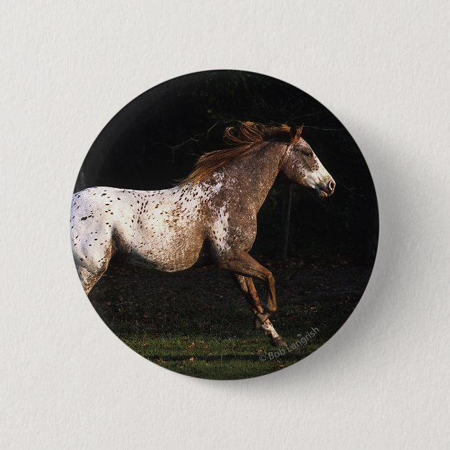Badge Rond 5 Cm Cheval d'Appaloosa courant 4 (Devant)