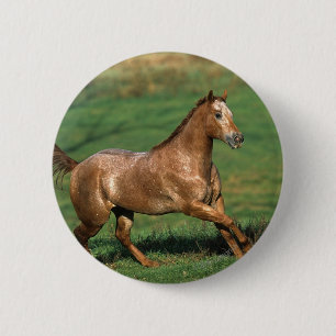 Badge Rond 5 Cm Cheval d'Appaloosa fonctionnant dans le domaine