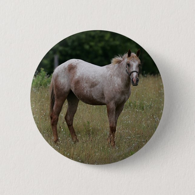 Badge Rond 5 Cm Cheval d'Appaloosa se tenant dans l'herbe (Devant)