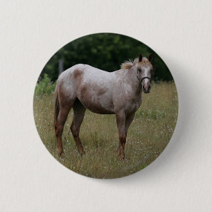 Badge Rond 5 Cm Cheval d'Appaloosa se tenant dans l'herbe