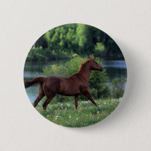 Badge Rond 5 Cm Cheval de pur sang se tenant en fleurs