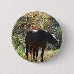 Badge Rond 5 Cm Cheval en automne