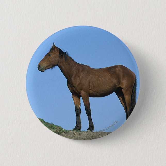 Badge Rond 5 Cm Cheval sauvage de mustang (Devant)