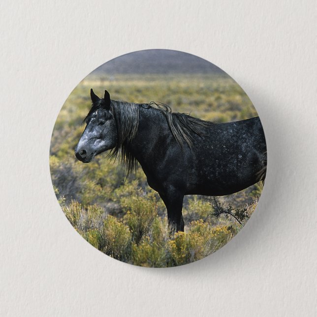 Badge Rond 5 Cm Cheval sauvage de mustang dans le désert (Devant)