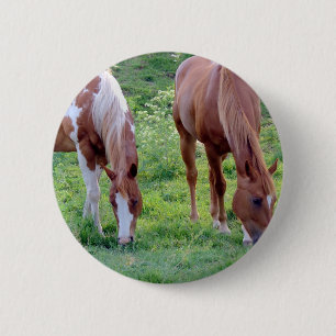 Badge Rond 5 Cm Chevaux